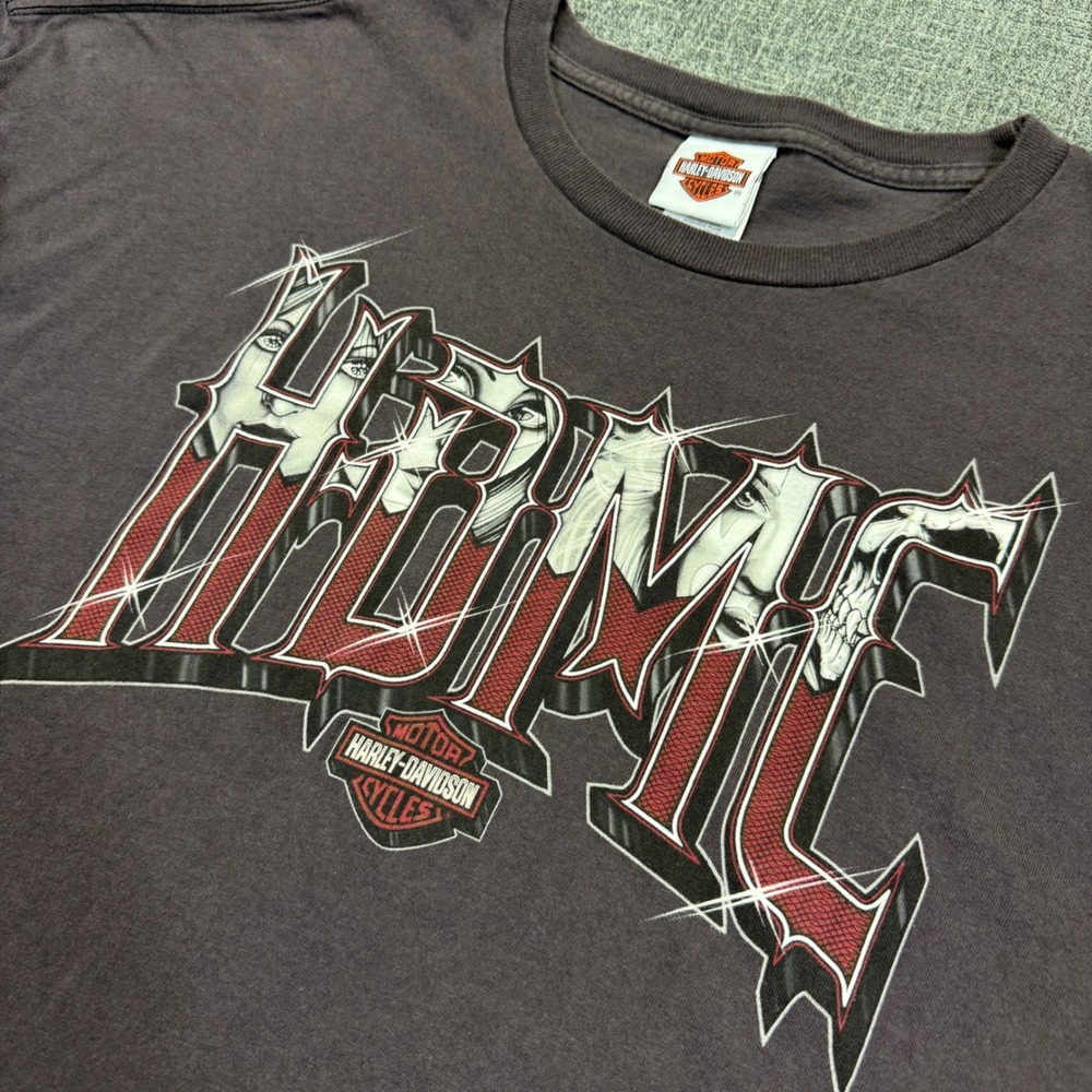 Harley Davidson T Shirt Mens 5XL Brown Okoboji Iowa Hottie Graphic 2008 Grunge